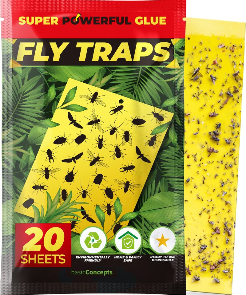 BASIC CONCEPTS Fruit Fly Trap (20 Pack), Double-Sided Yellow Sticky Traps (Indoor & Outdoor), Fruit Fly Traps for Kitchen & Plants, Fruit Fly Killer - Sticky Gnat Trap Indoor Solution, Fungus Gnat Traps - Image 1